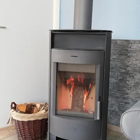 Austernfischer * Butjadingen